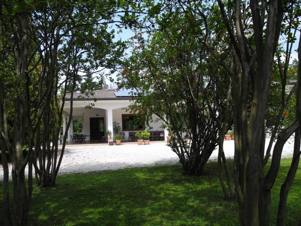 B&B Villa Miani Silea Exterior foto